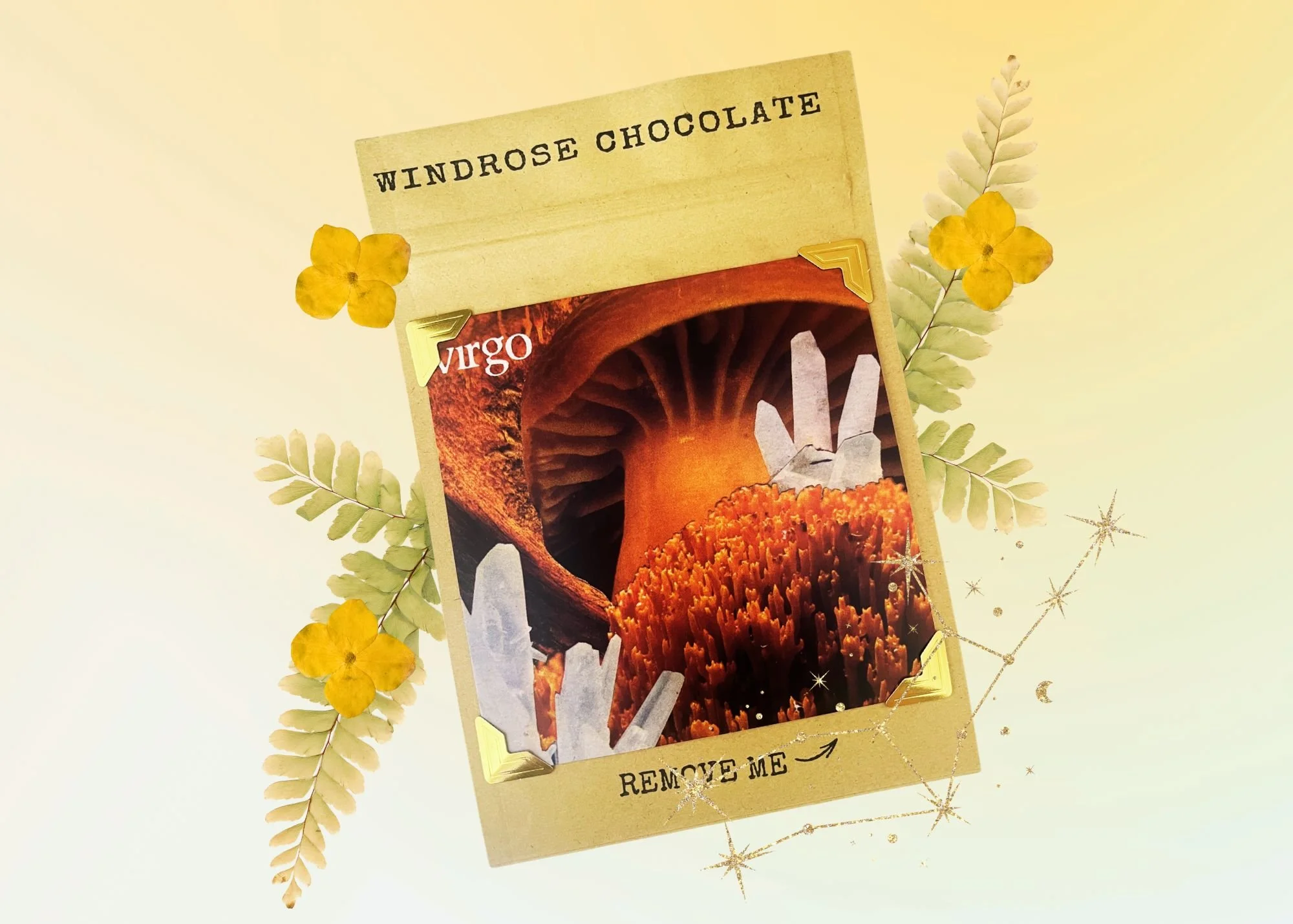 Virgo Zodiac Chocolate- Medicinal Mushroom & Toasted Almond Dark